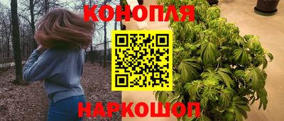 PSILOCYBIN Абакан
