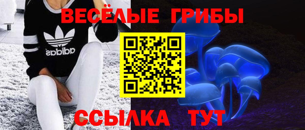 Галлюциногенные грибы MAGIC MUSHROOMS  Вход с VPN  купить наркотик  Псилоцибиновые грибы мухоморы  Абакан 